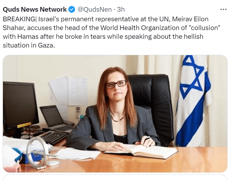 Israeli UN ambassador