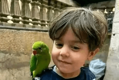 Osama and his bird